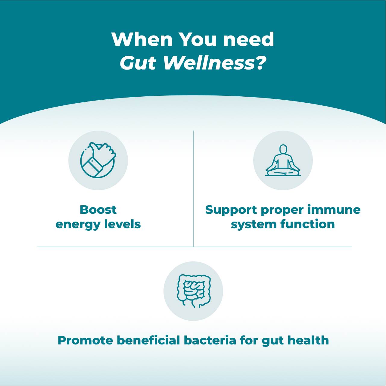 Gut Wellness Formula